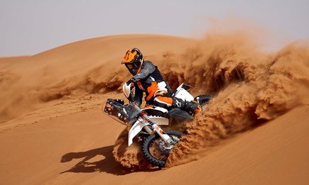 2026 KTM 450 RALLY REPLICA