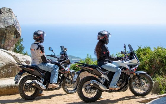 Wir wünchen Ihnen einen guten Rutsch ins neue Jahr 2026! - Bild 3