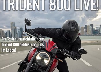 TRIUMPH TRIDENT 800 - LIVE