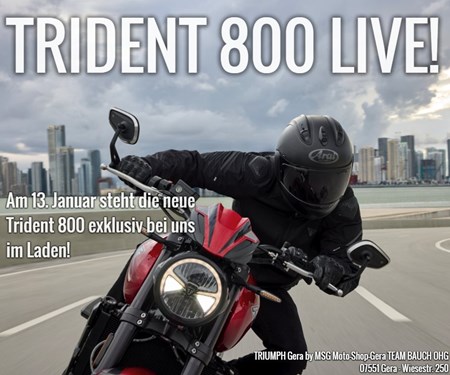 TRIUMPH TRIDENT 800 - LIVE