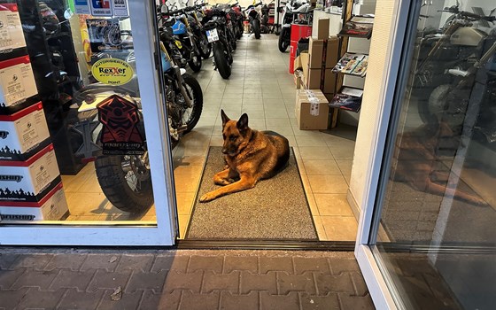 In 4 Wochen beginnt die neue Saison. ATT Werkstatt für Ducati-MV Agusta-Benelli-Bimota-Fantic & Rieju Motorräder! - Bild 6