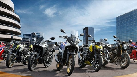 Viele Neumodelle bereits eingetroffen !