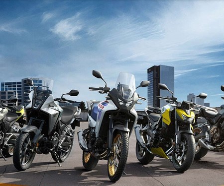 Viele Neumodelle bereits eingetroffen !