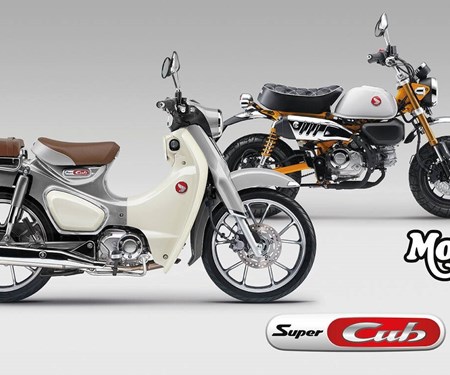 Neue Farben für die legendären Modelle Monkey 125 und Super Cub C125 für das Modelljahr 2026
