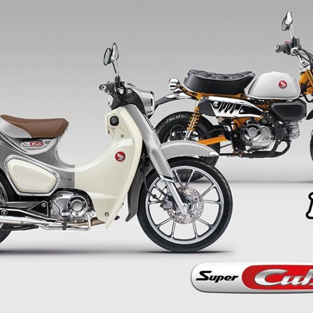 Neue Farben für die legendären Modelle Monkey 125 und Super Cub C125 für das Modelljahr 2026