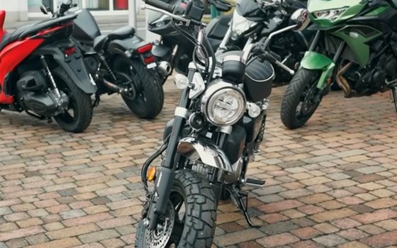 Monkey 125 2026! - Bild 1