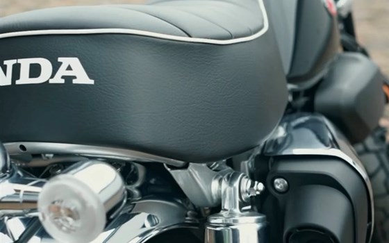 Monkey 125 2026! - Bild 2