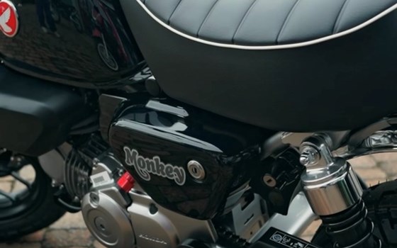 Monkey 125 2026! - Bild 3
