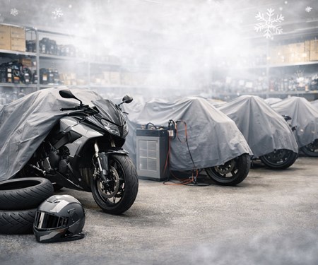 Überwinterung 2025/2026