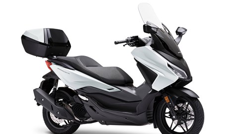 Honda FORZA 125 MODELLJAHR 2026 / bei Tempo-Zweirad-Treff GmbH in Nettetal-Kaldenkirchen