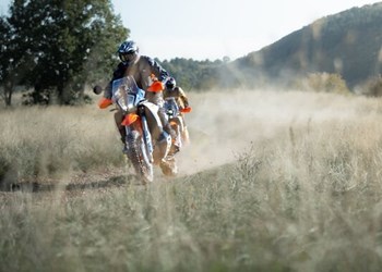 Sommeröffnungszeiten!!!