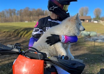 ZACHMANN Team Fahrer