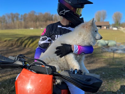 ZACHMANN Team Fahrer