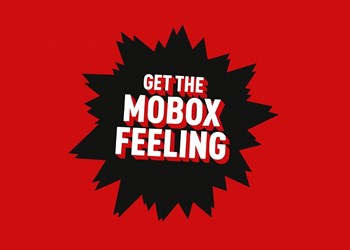 MoBoxNews WhatsApp Channel