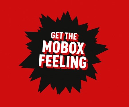 MoBoxNews WhatsApp Channel