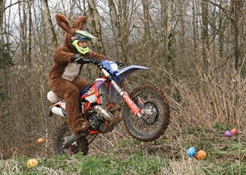 Sogar der Osterhase fährt Beta!