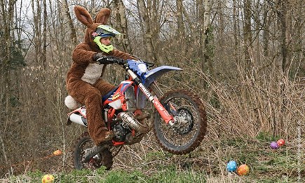 Sogar der Osterhase fährt Beta!