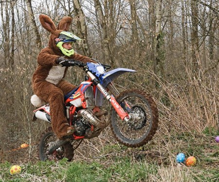 Sogar der Osterhase fährt Beta!