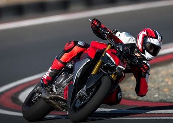 Die roten sind auch wieder da!