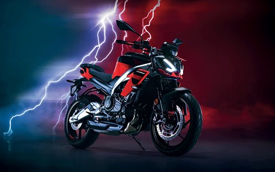 Die neuen Promo-Angebote sind da - Bild 3