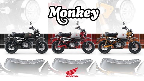 Frische Farbvarianten für Monkey 125 und ST125 Dax, Modelljahr 2026