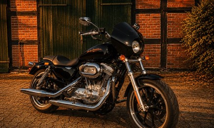  Harley-Davidson Sportster 883 SuperLow | 3. Hand | Scheckheftgepflegt | Originalzustand