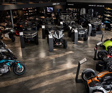 Unser Showroom
