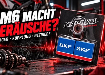 AM6-Motor macht Geräusche: Lager, Kupplung oder Getriebe?