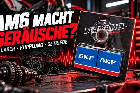 Racing Planet Vertrieb GmbH-News: AM6-Motor macht Geräusche: Lager, Kupplung oder Getriebe?