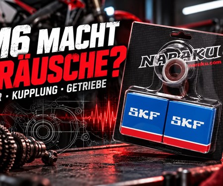 AM6-Motor macht Geräusche: Lager, Kupplung oder Getriebe?