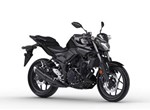 Eingetroffen: Yamaha MT03, Modell 2018