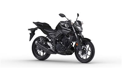 Eingetroffen: Yamaha MT03, Modell 2018 - Bild 2