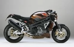 Meinungsumfrage Bild 1: Meinungsumfrage