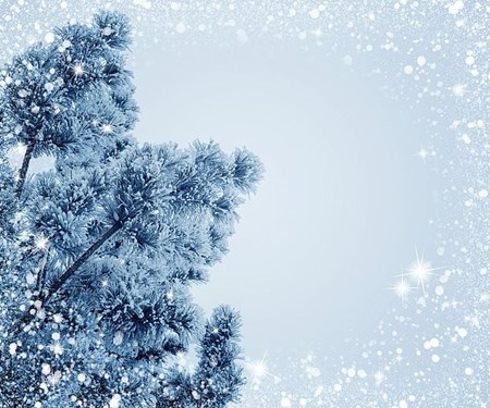 Wintereinlagerung ab sofort