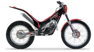 Eine schwarze Schönheit