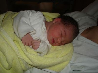 Nachwuchs bei Holzäpfels Nachwuchs bei Holzäpfels