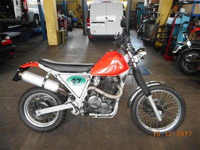 Suzuki DR800 Scrambler - Bild 2