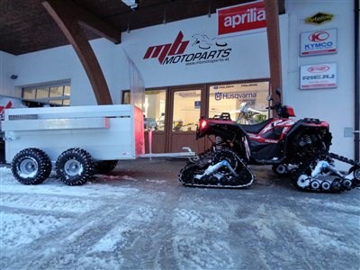 ﻿>>>POLARIS SPM 1000 XP FALCON inkl. Ballonanhänger<<< - Bild 10