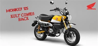 Monkey 125 Bild 1: Monkey 125