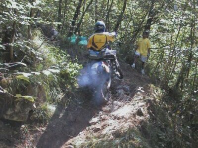 Bachner-Cup Ergebnisse