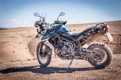 NEUE TIGER 800 - Bild 2