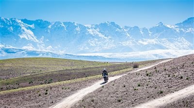 NEUE TIGER 800 - Bild 3