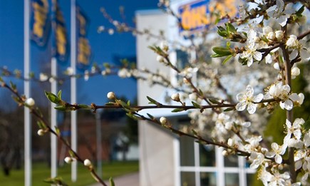 Öhlins "Spring" Aktion - Minus 10% auf ausgewählte Gabelfedern!