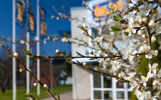 Öhlins "Spring" Aktion - Minus 10% auf ausgewählte Gabelfedern! - Bild 1