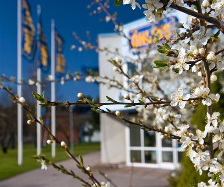 Öhlins "Spring" Aktion - Minus 10% auf ausgewählte Gabelfedern!