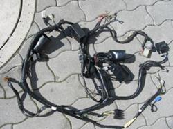 TDM 850 91-96  Kabelbaum kompl. (p24)