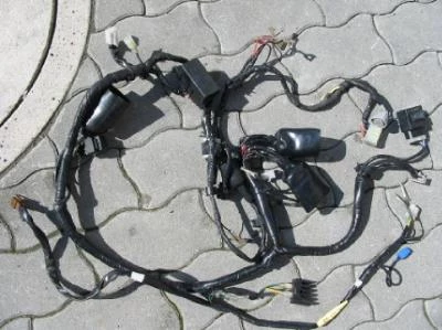 TDM 850 91-96  Kabelbaum kompl. (p24) Bild 1: TDM 850 91-96  Kabelbaum kompl. (p24)