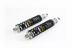Öhlins STX 36 Twin Stoßdämpfer - HD 220 Öhlins STX 36 Twin Stoßdämpfer - HD 220