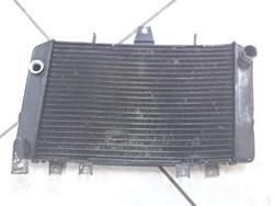 Kühler Kawasaki ZRX 1100 Kühler Kawasaki ZRX 1100