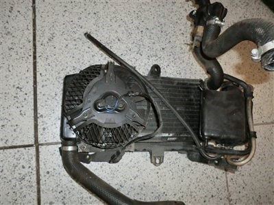 Kühler XT 660 tenere - Bild 1